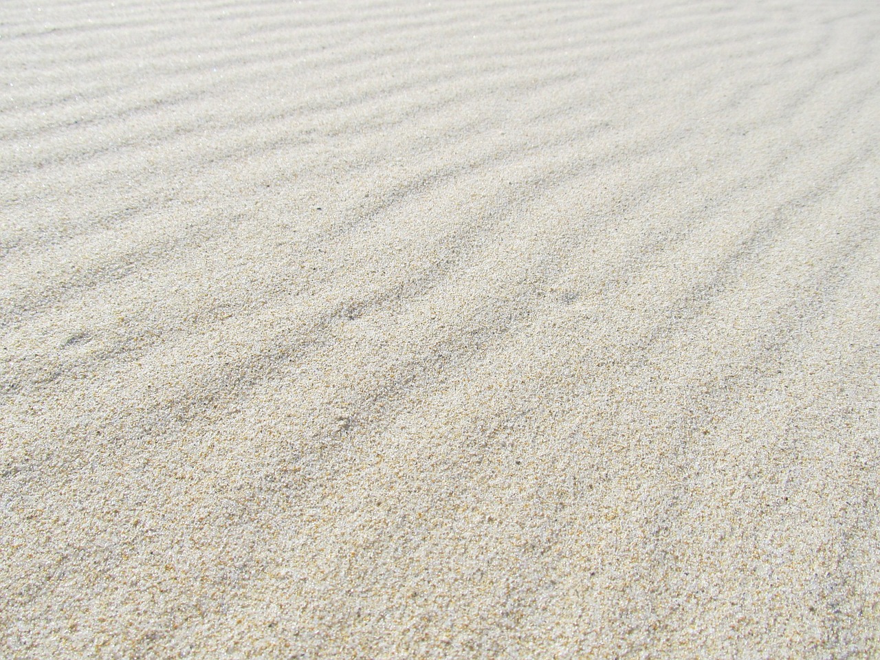 sand beach white free photo