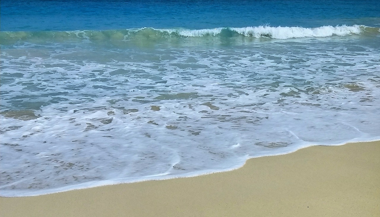 sand water ocean free photo