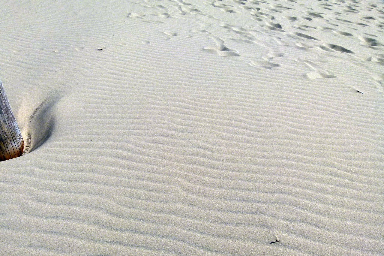 sand sand dunes waves free photo