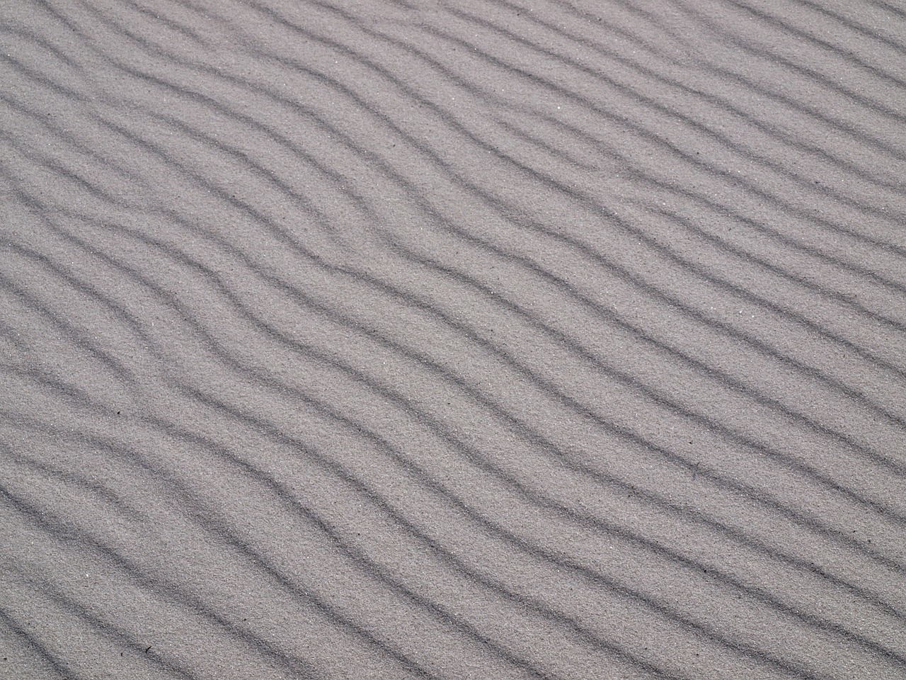 sand grains beach free photo