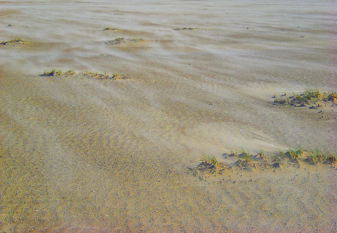 sand wind beach free photo