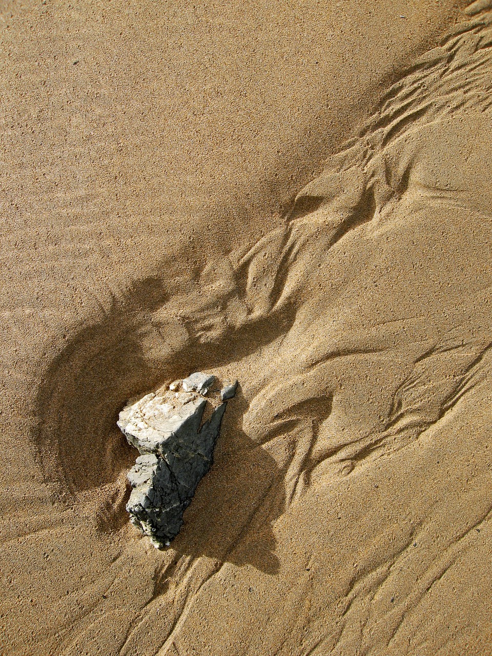 sand pattern beach free photo