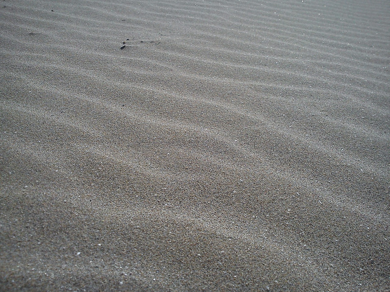 sand dunes gone with the wind free photo