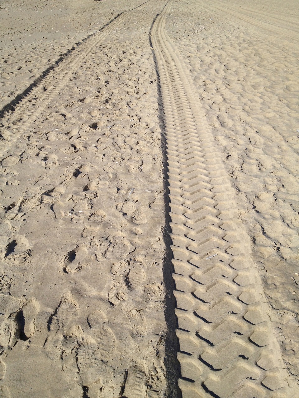 sand traces desert free photo