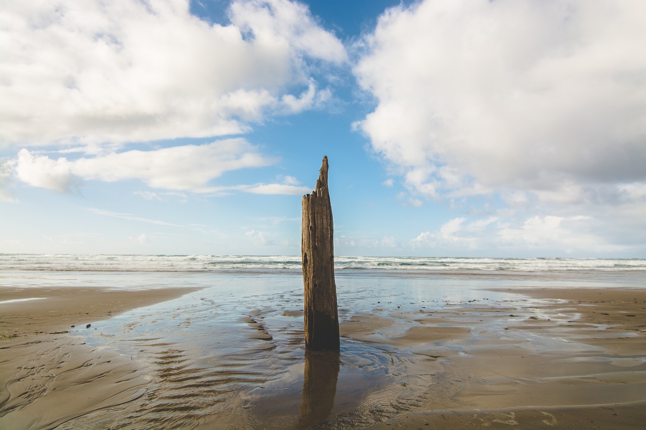 sand water beach free photo