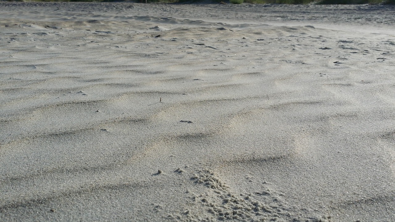 sand beach wind free photo