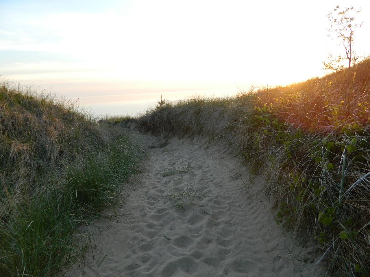 sand beach sunset free photo