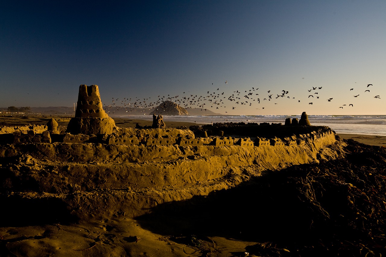 sand castle bulding free photo