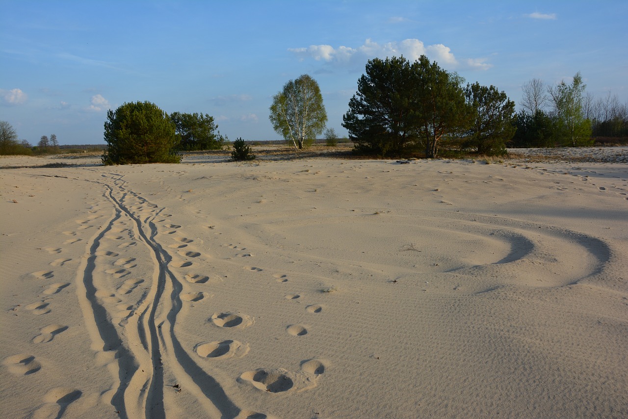 sand way dune free photo