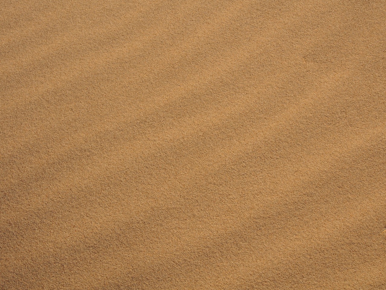 sand beach baltic sea free photo