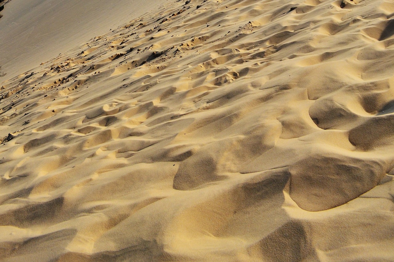 sand texture beach free photo