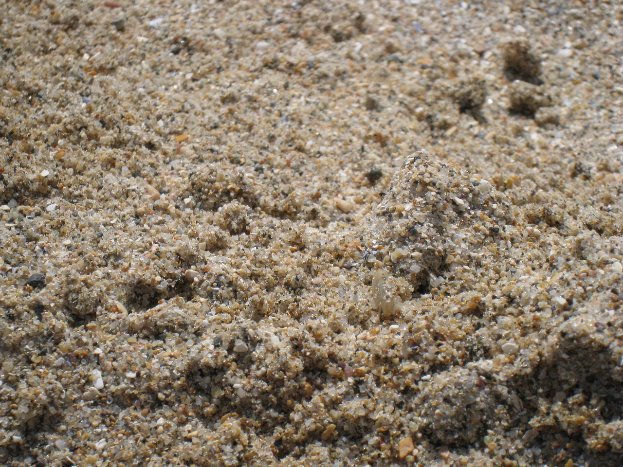 sand beach beige free photo