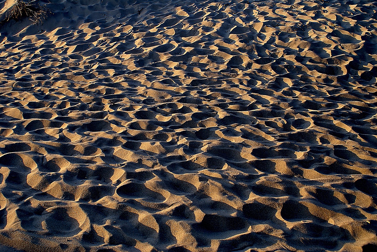 sand shadows invoice free photo