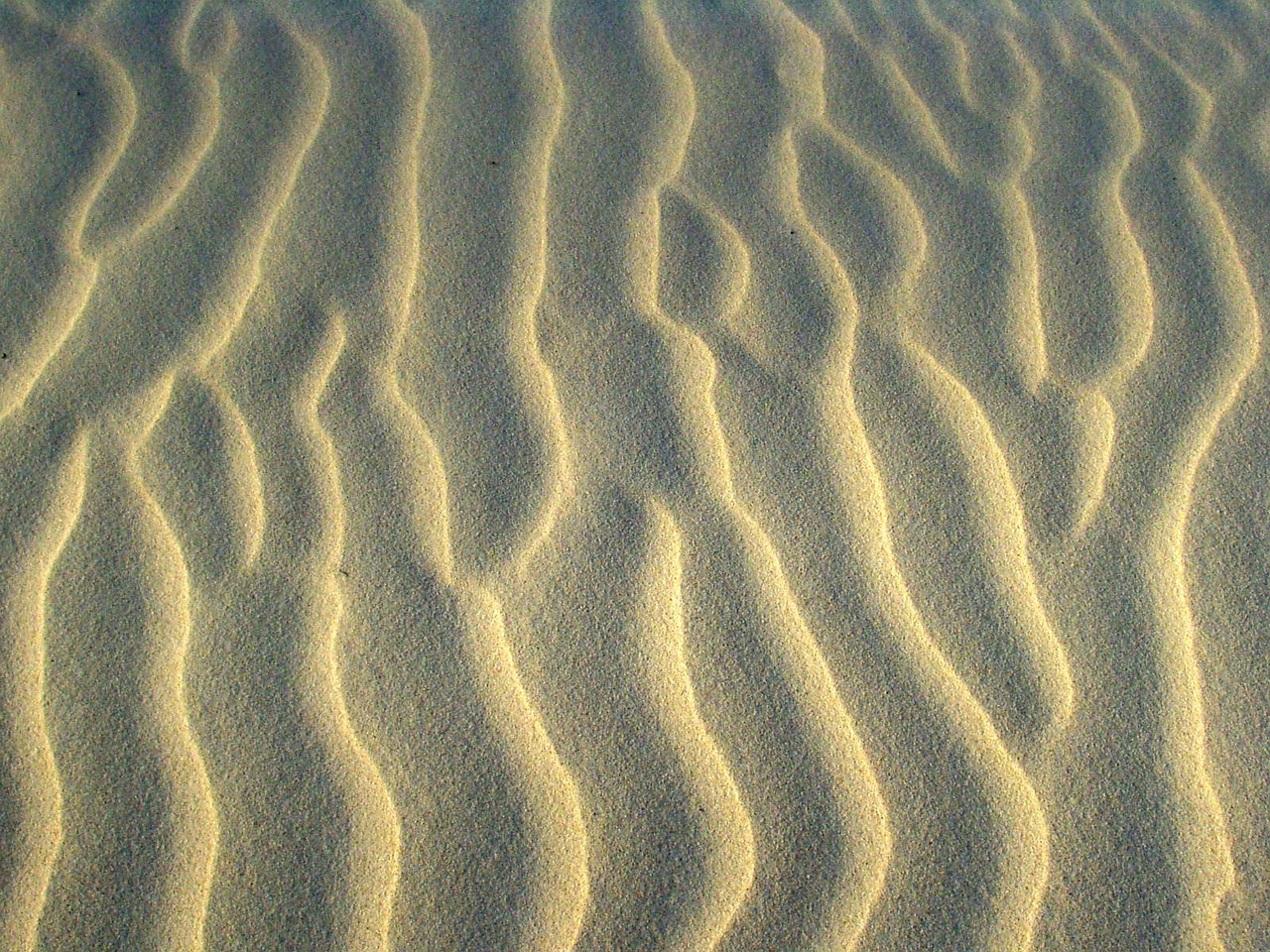 sand ripples texture free photo