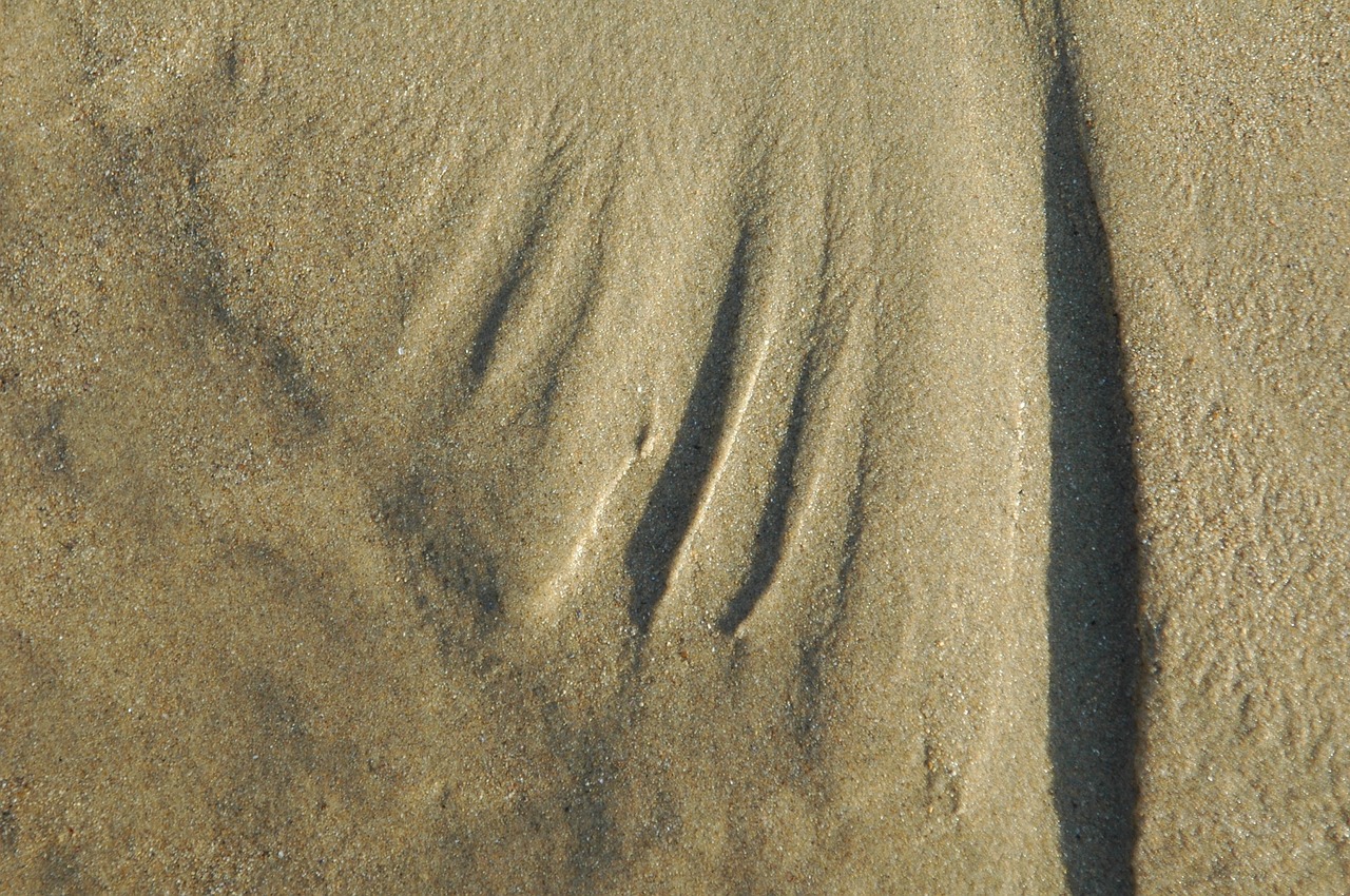 sand design beach free photo