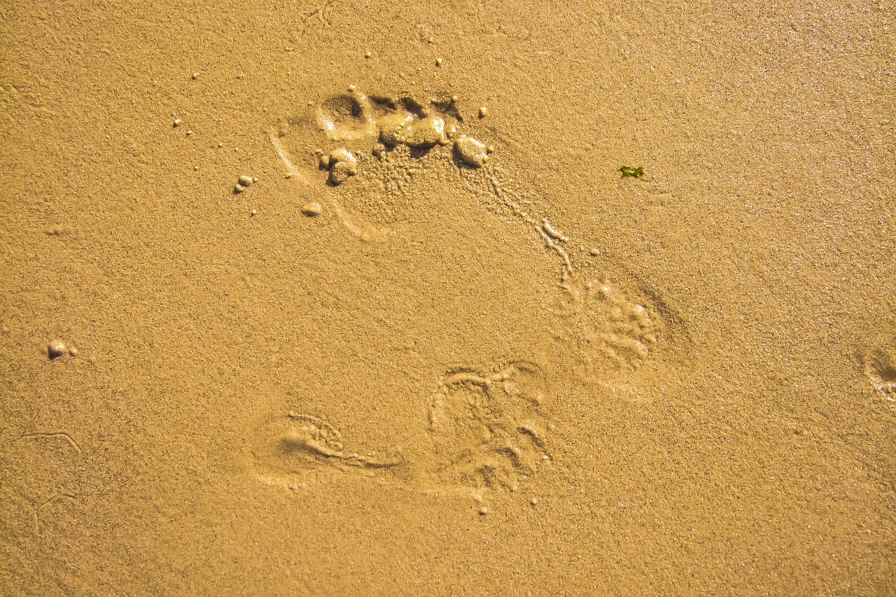 sand beach texture free photo