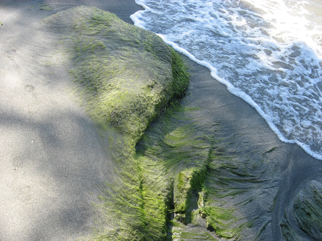 sand sea edge of the sea free photo