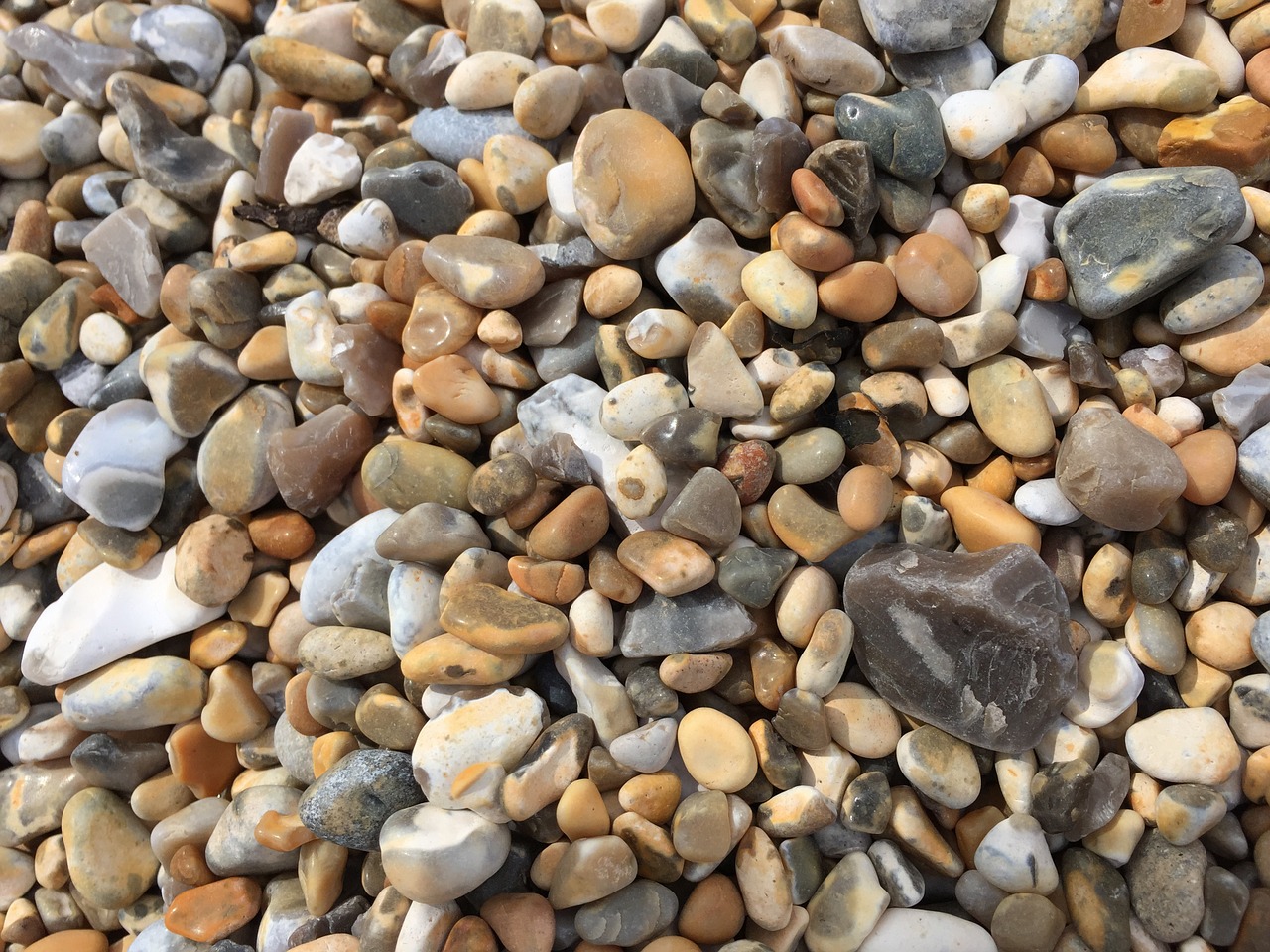 seaside beach stones free photo