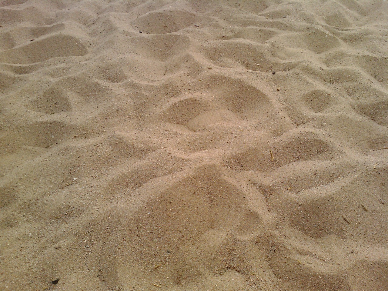 sand beach desert free photo