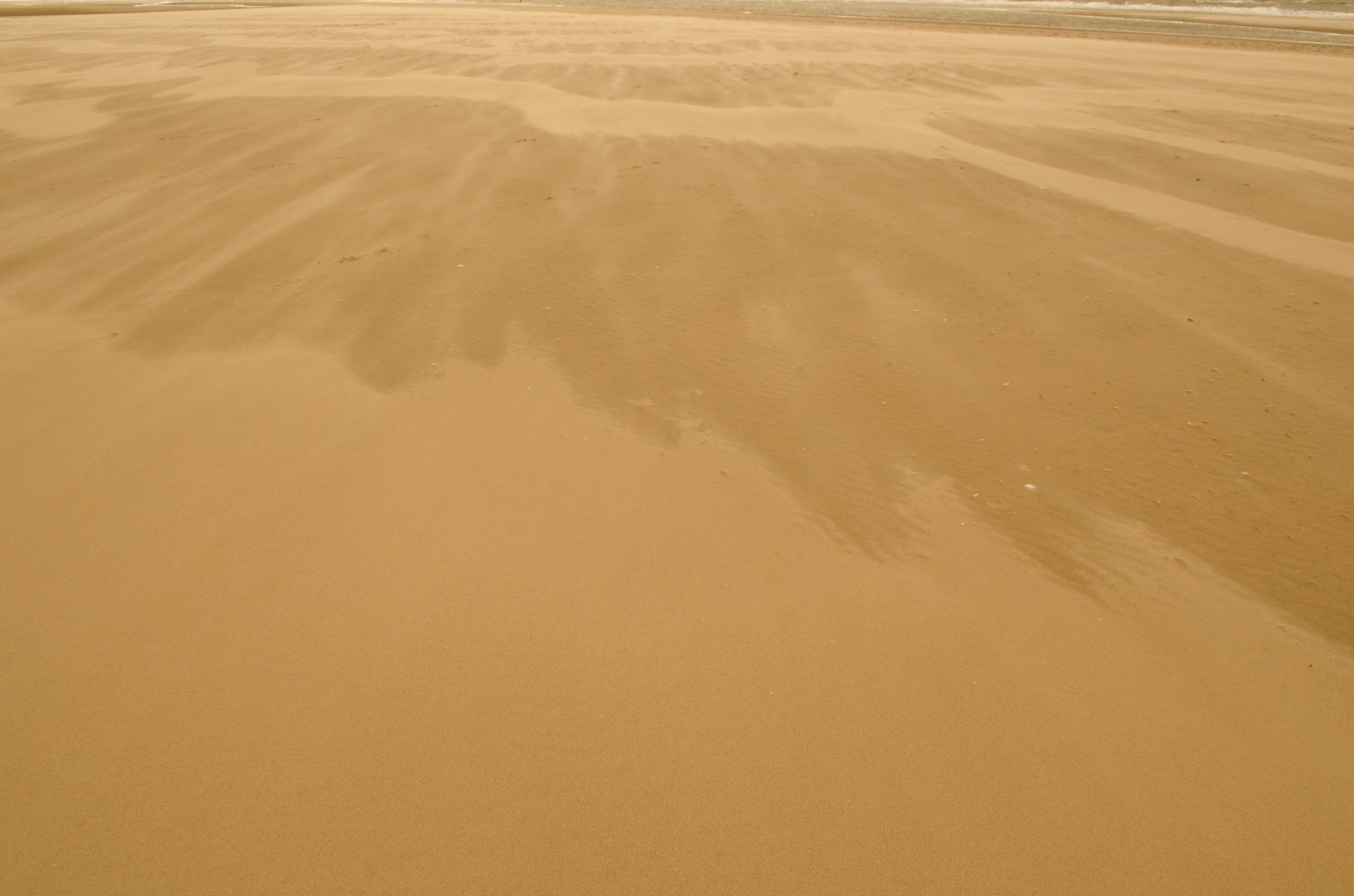 sand beach background free photo