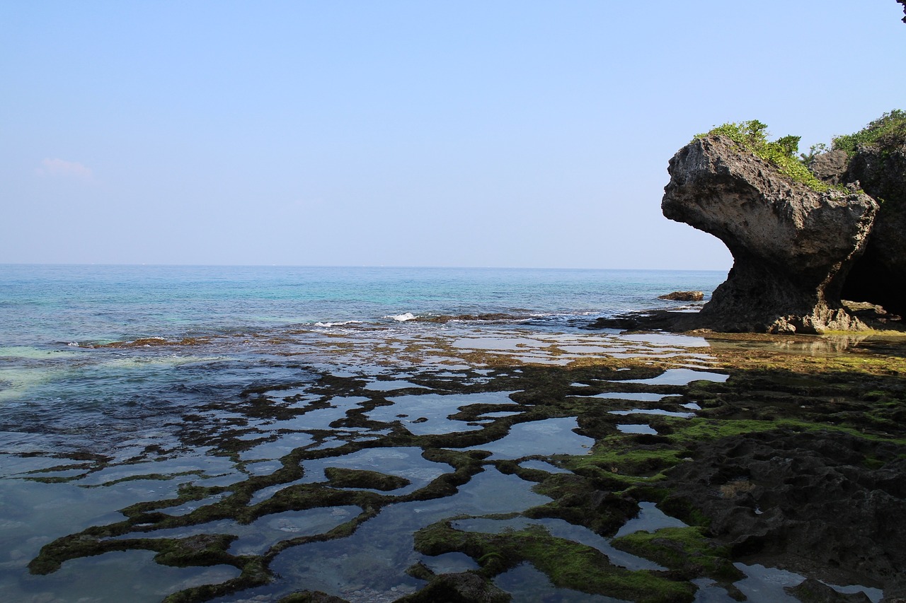 sand beach the scenery beach free photo