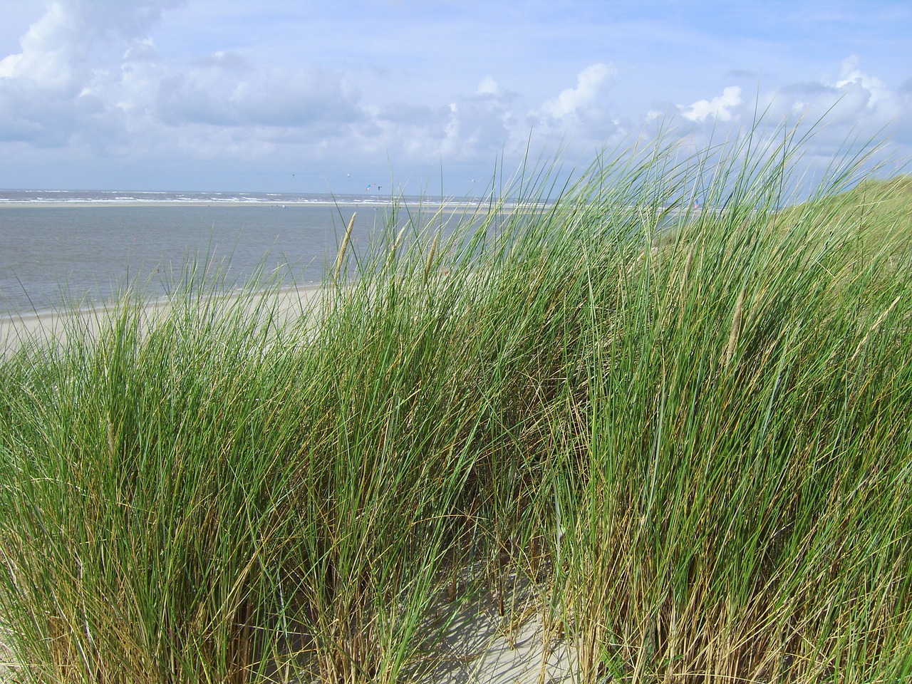 sand beach sand sea free photo