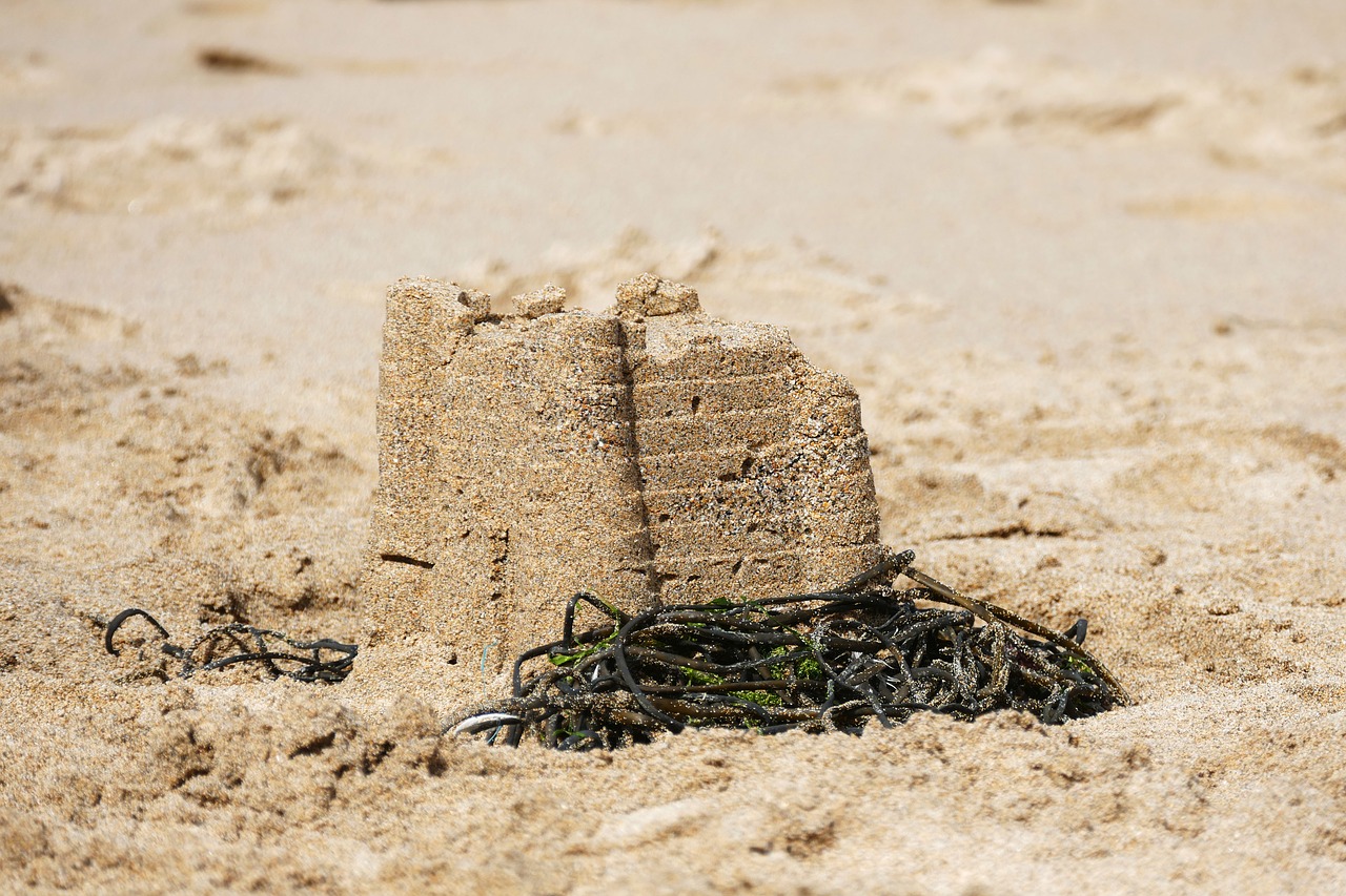 sand castle beach sand free photo