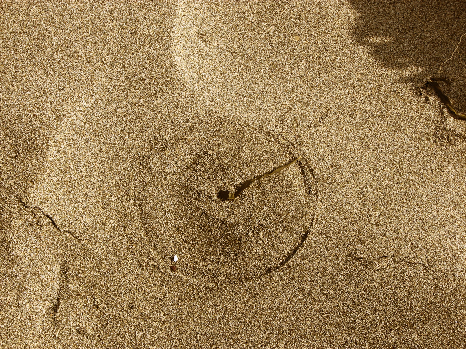 clock sand sundial free photo