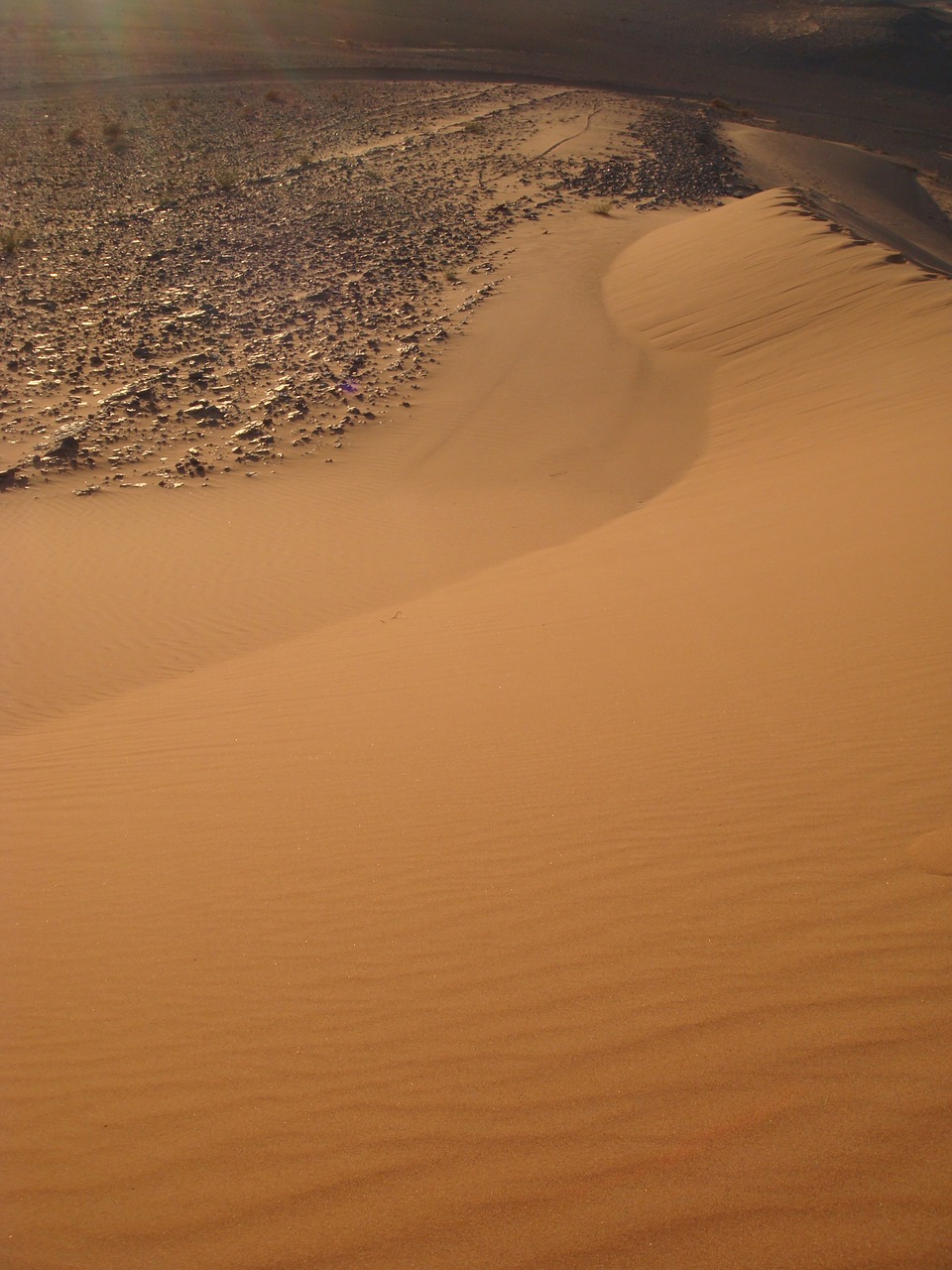 sand dune sahara desert free photo