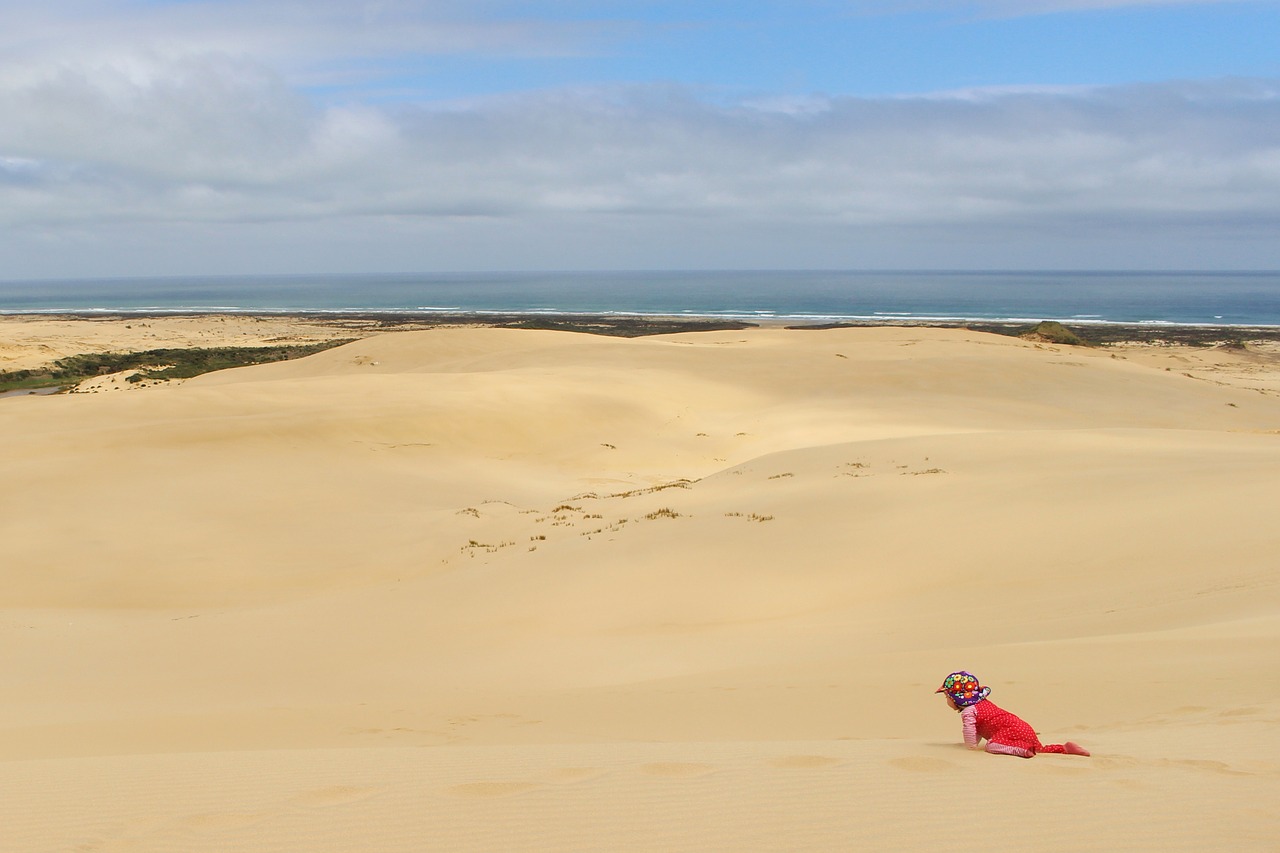 sand dune baby crawl free photo