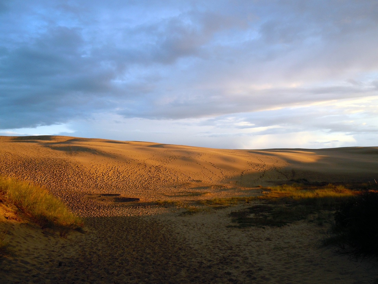 sand dune dunes desert free photo