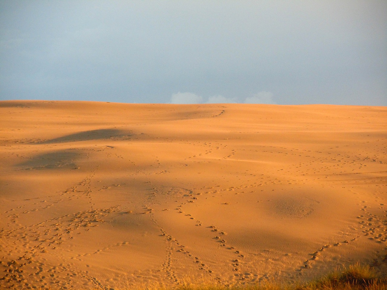 sand dune dunes desert free photo