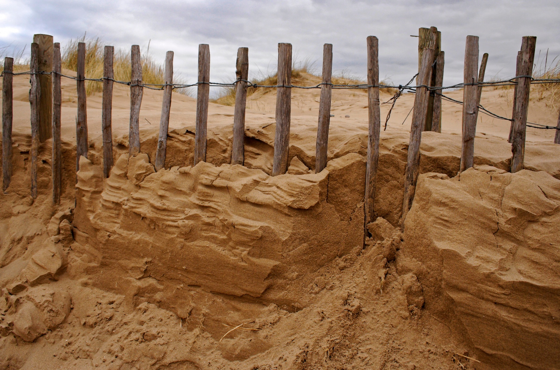 sand sand dune dune free photo