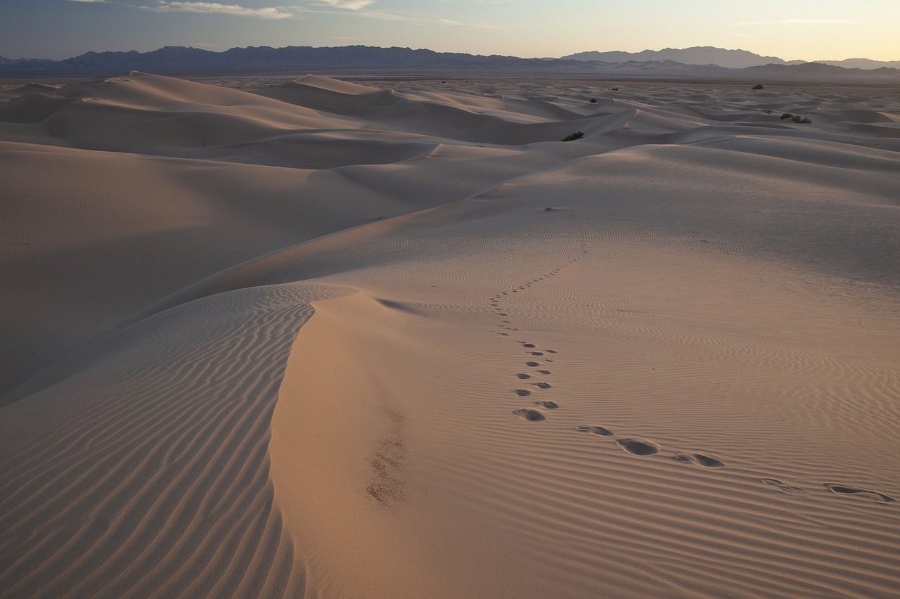 sand dunes wilderness landscape free photo