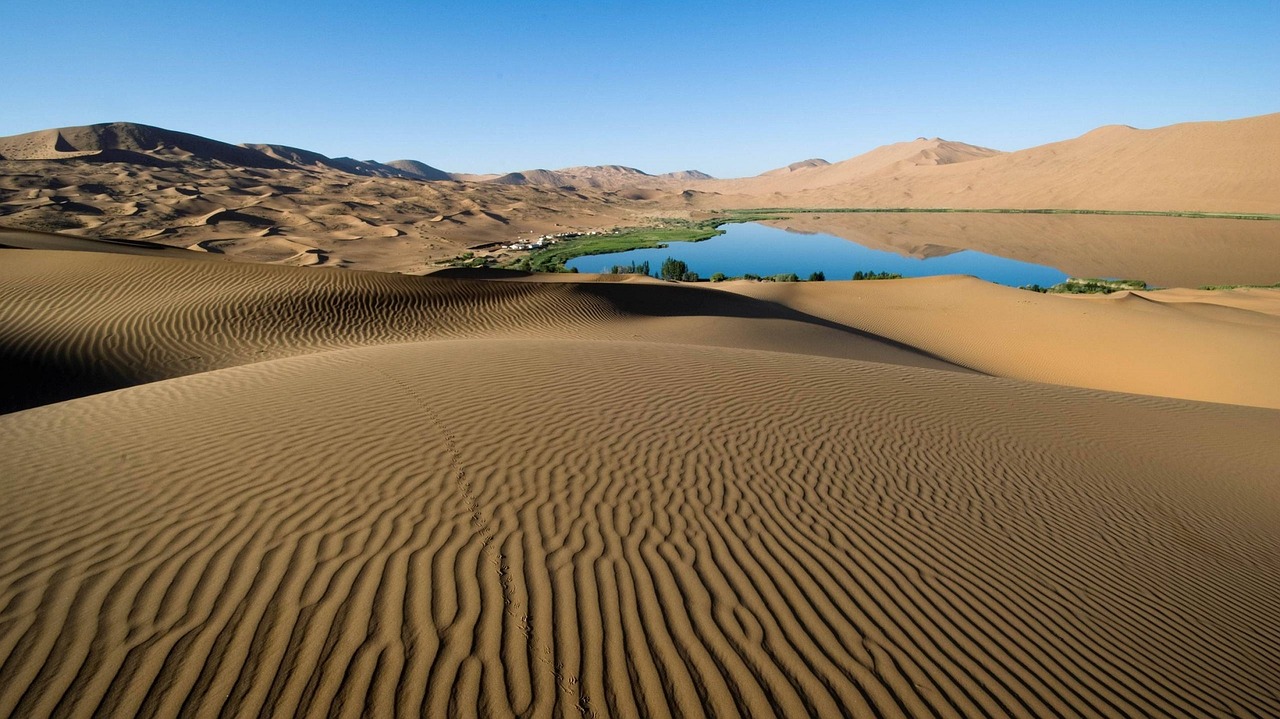 sand dunes ripples wind free photo