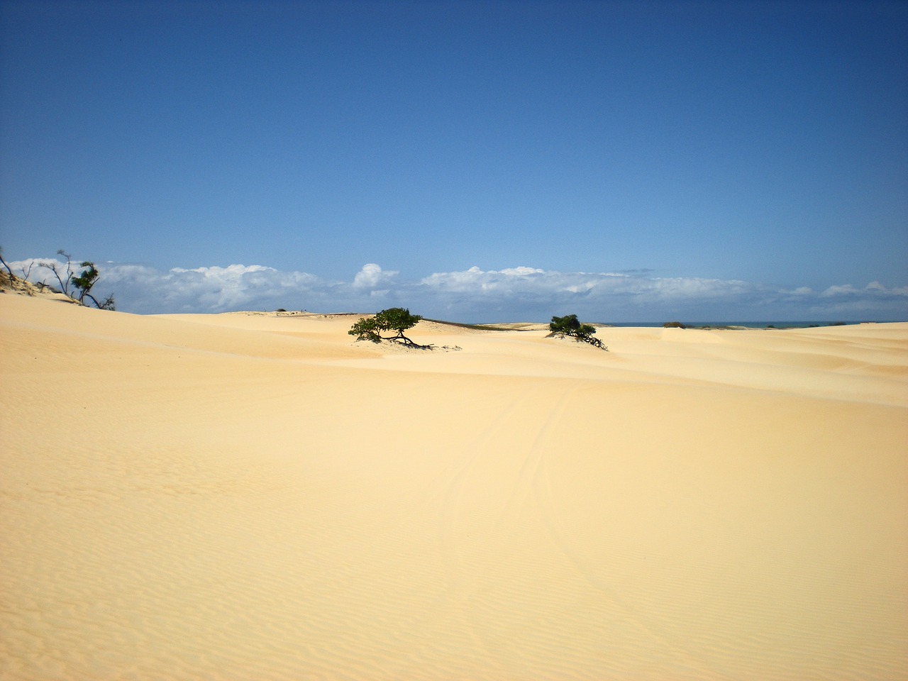 sand dunes sky sand free photo