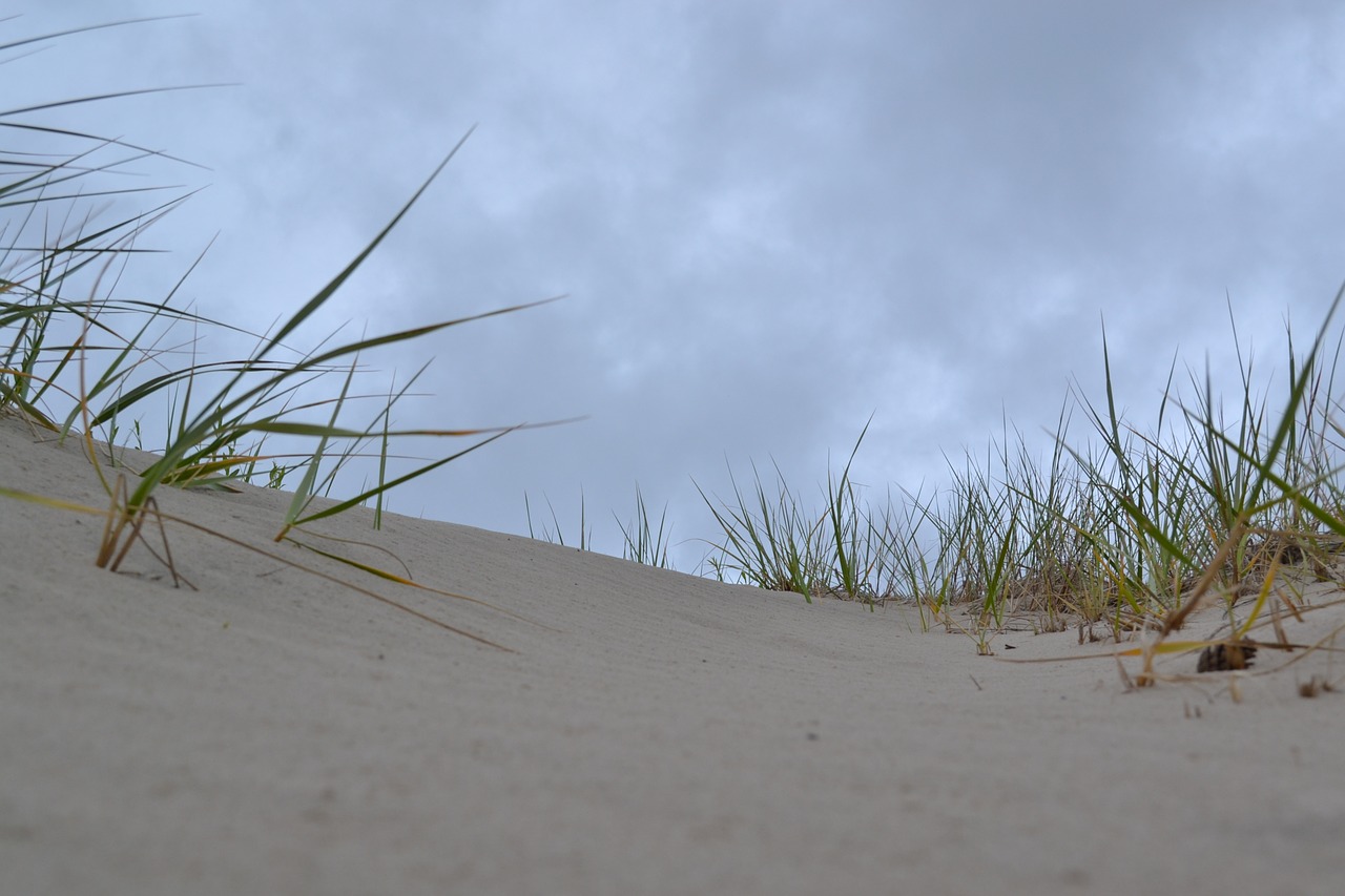 sand dunes beach sand free photo