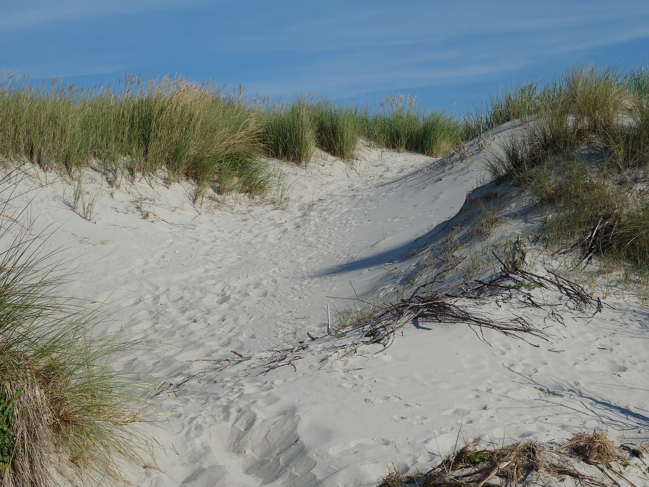 sand dunes dune sand free photo