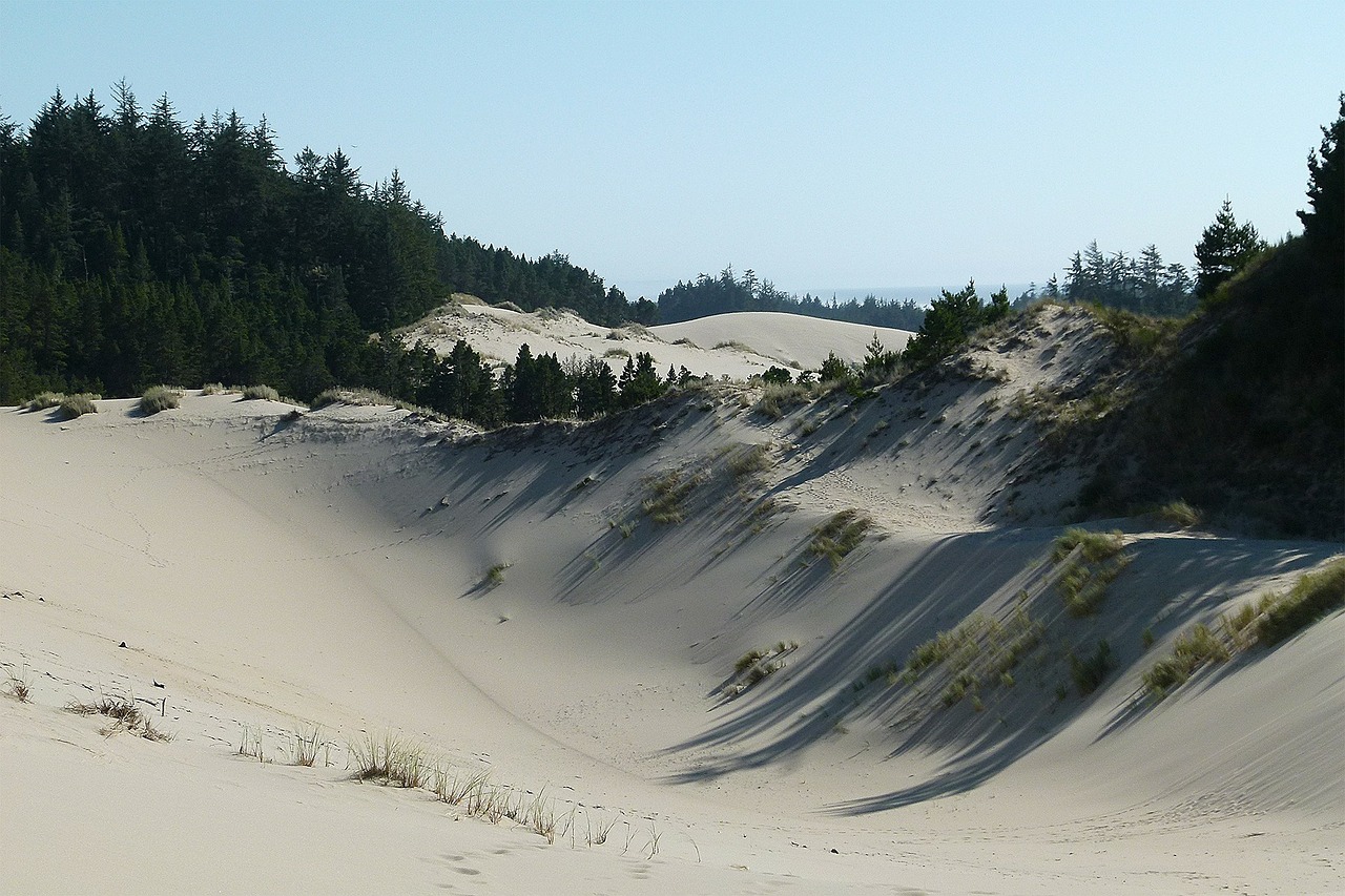 sand dunes oregon usa free photo