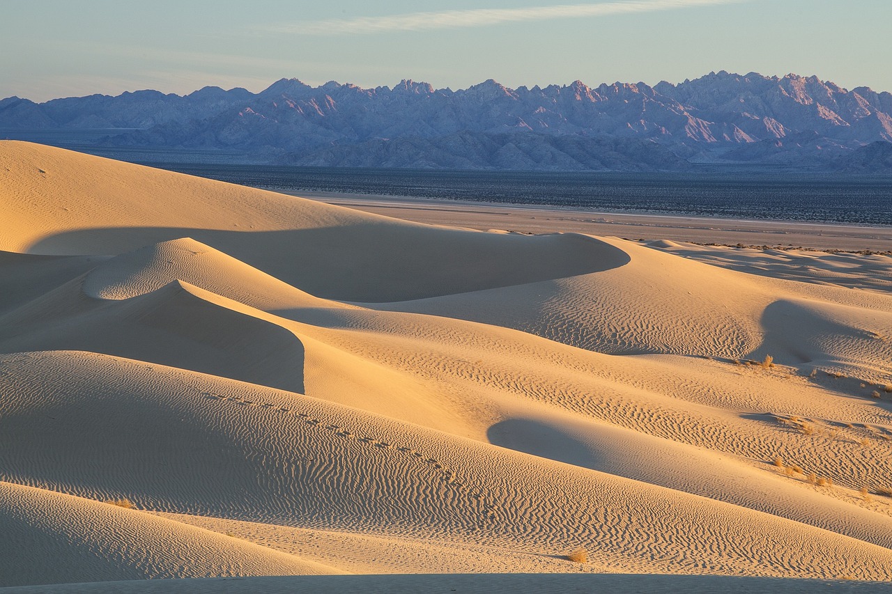 sand dunes wilderness landscape free photo