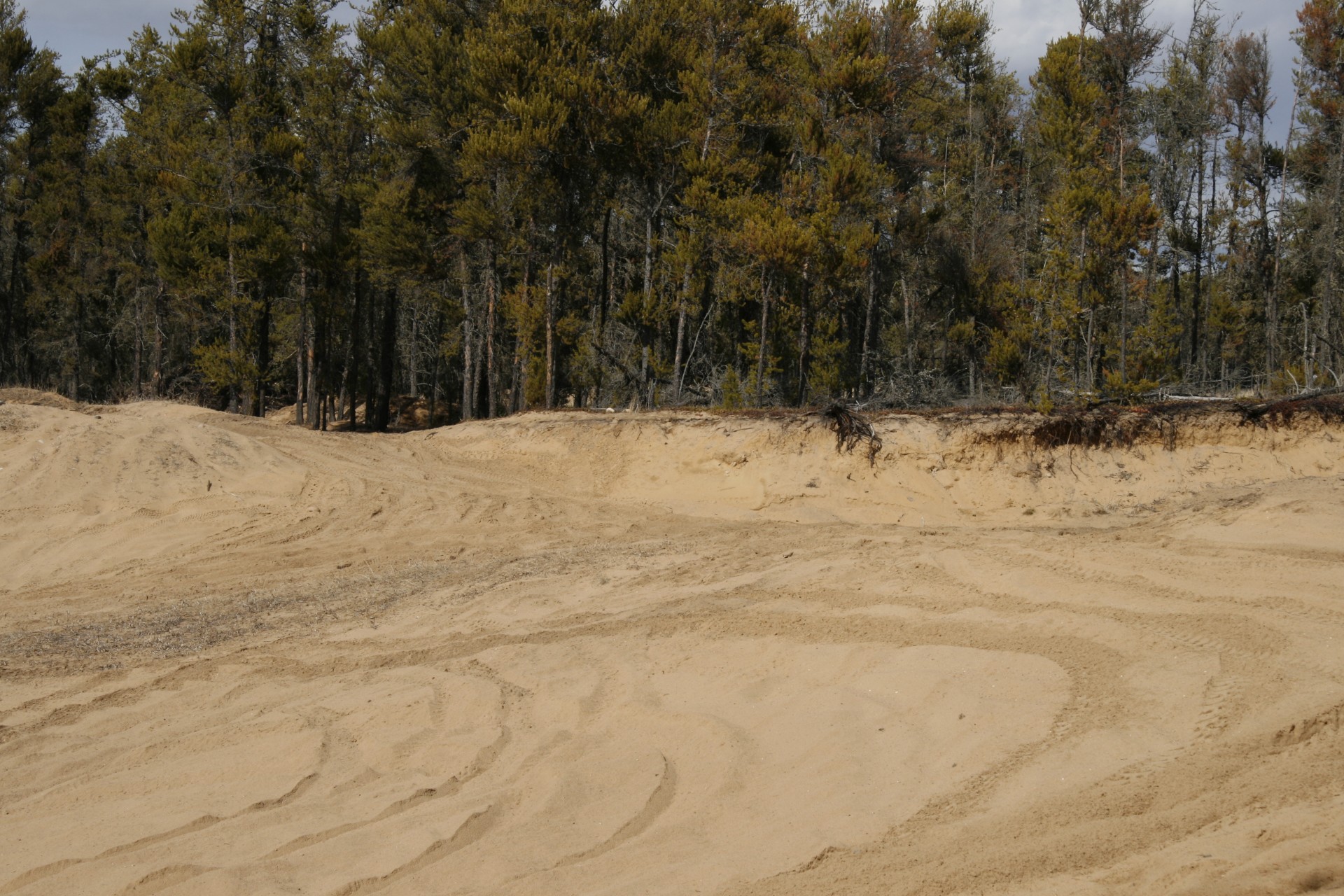 sand pit forest free photo