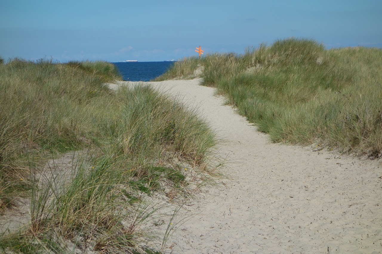sand road dune sand dunes free photo