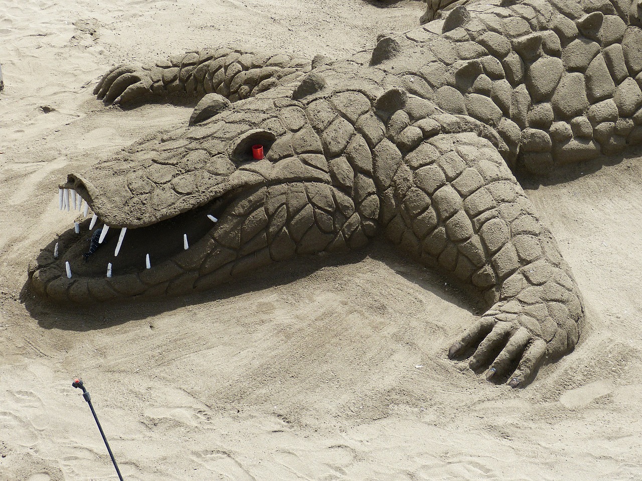 sand sculpture alligator crocodile free photo