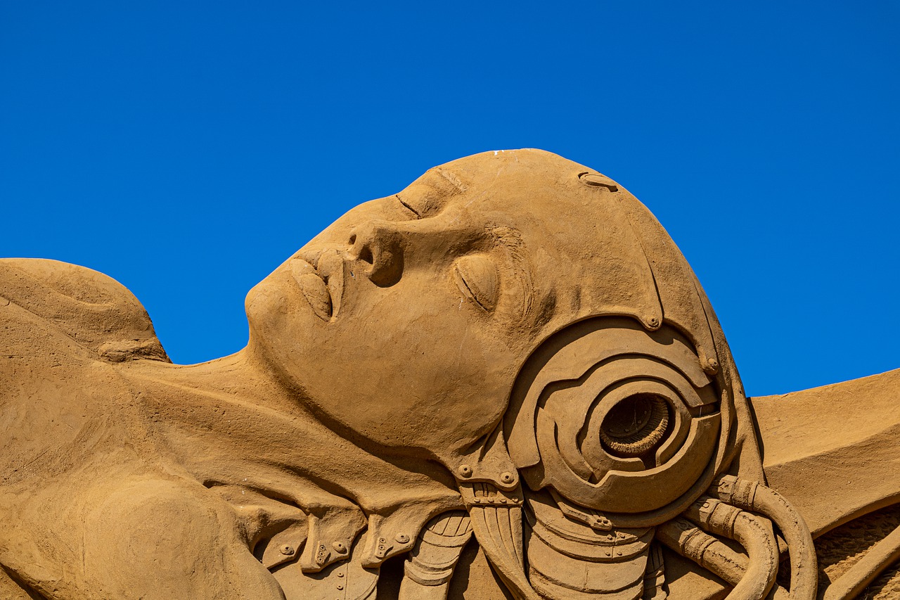 sand sculpture  san francisco  art free photo