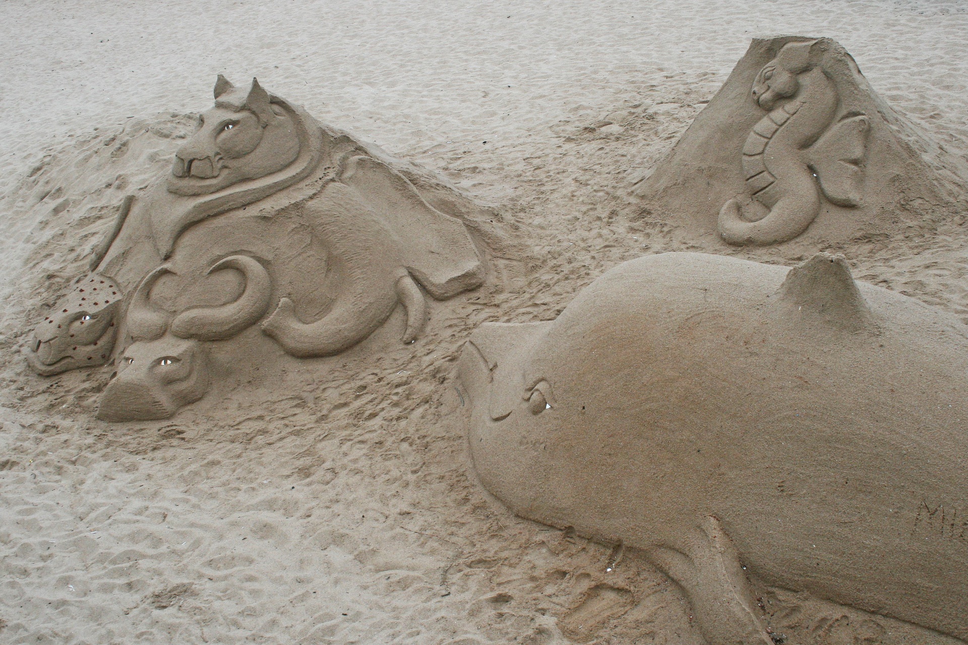 Molds,sand,fashioned hand,sculptures,animals - free image from 