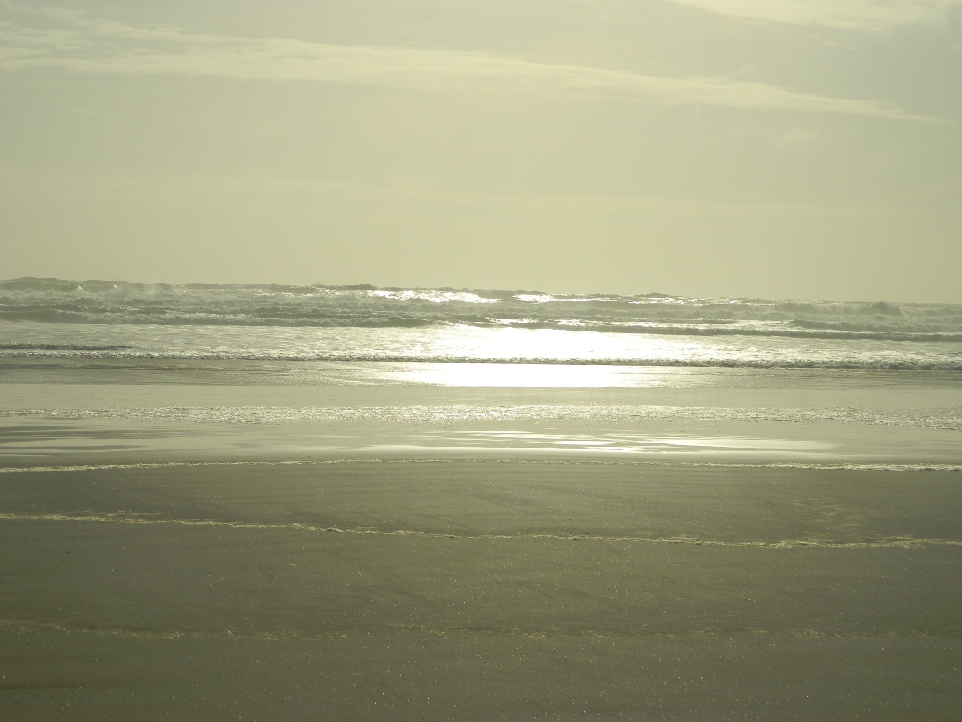 background sand sea free photo