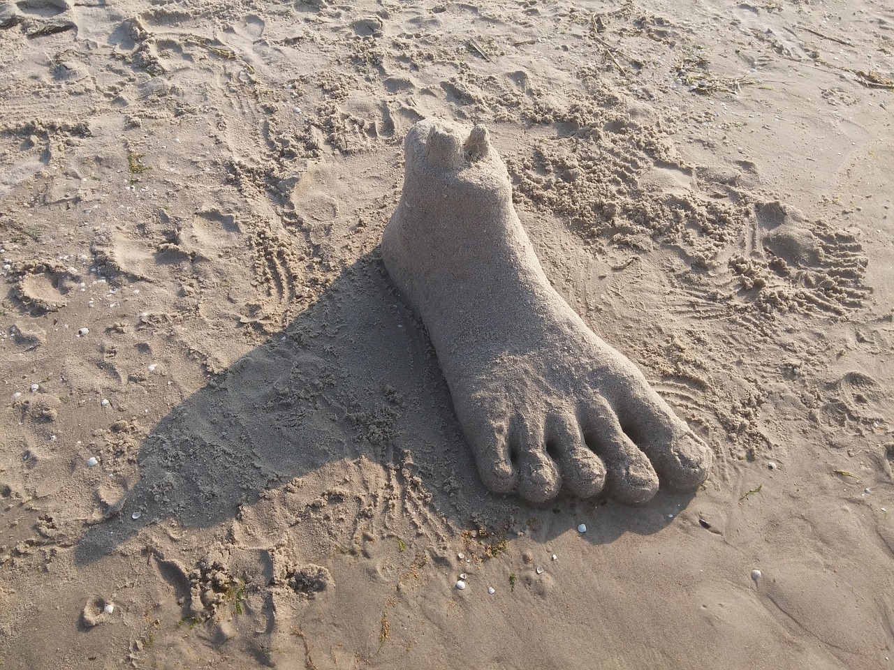 sand sculpture foot sand free photo