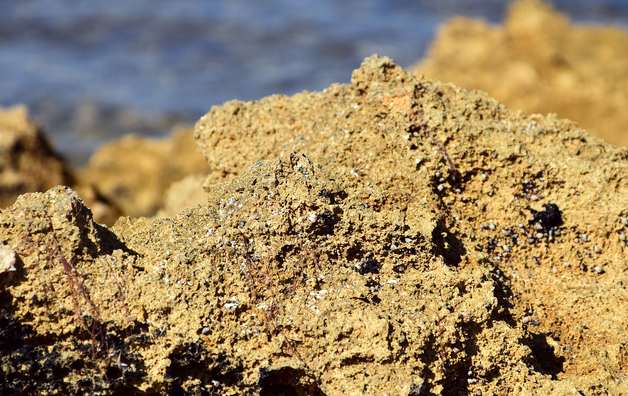 sand stone beach sea free photo