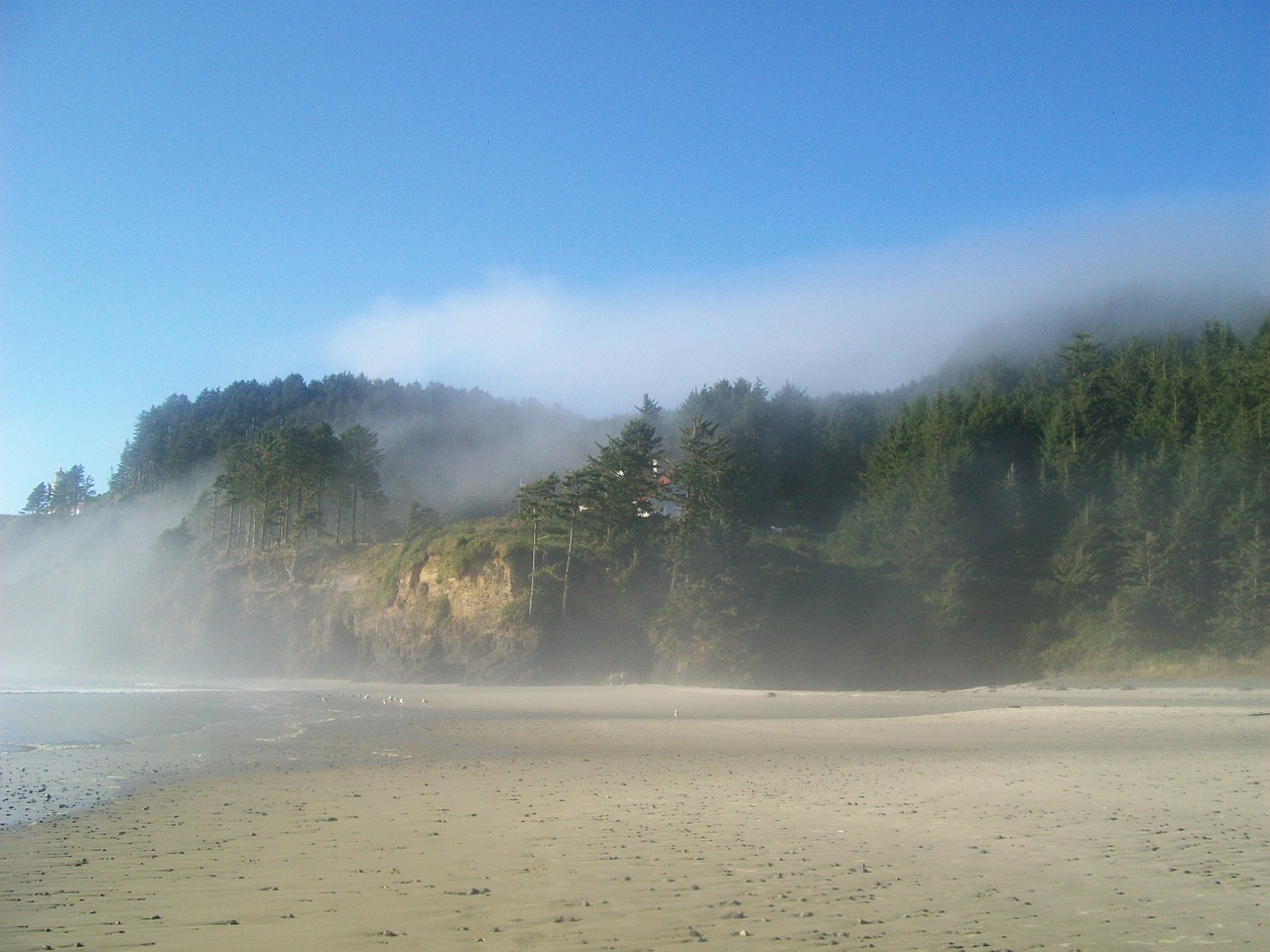 sand storm oregon windy free photo