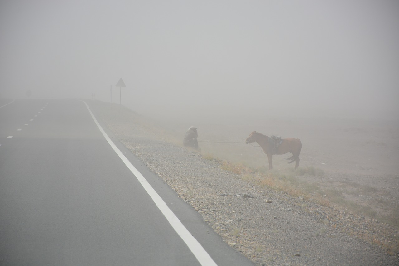 sand storm  man  horse free photo